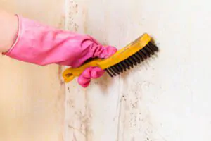 Preparation is Key - Quality Preferred Painting Services in Boston MA