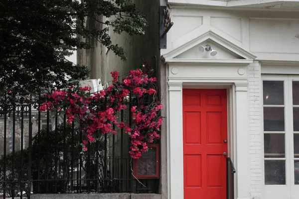 Front Door Colors and Their Meaning - Quality Preferred Painting